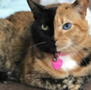 Meet your Posher, Marie